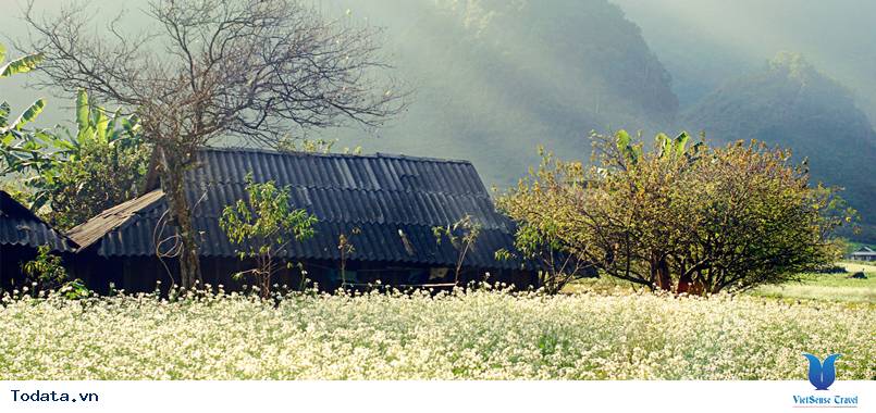 Mộc Châu - Tắt Ngoẵng - Tà Phình 4 Ngày 3 Đêm - Ảnh 2